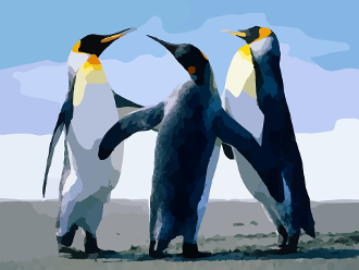 Pinguine treffen sich
